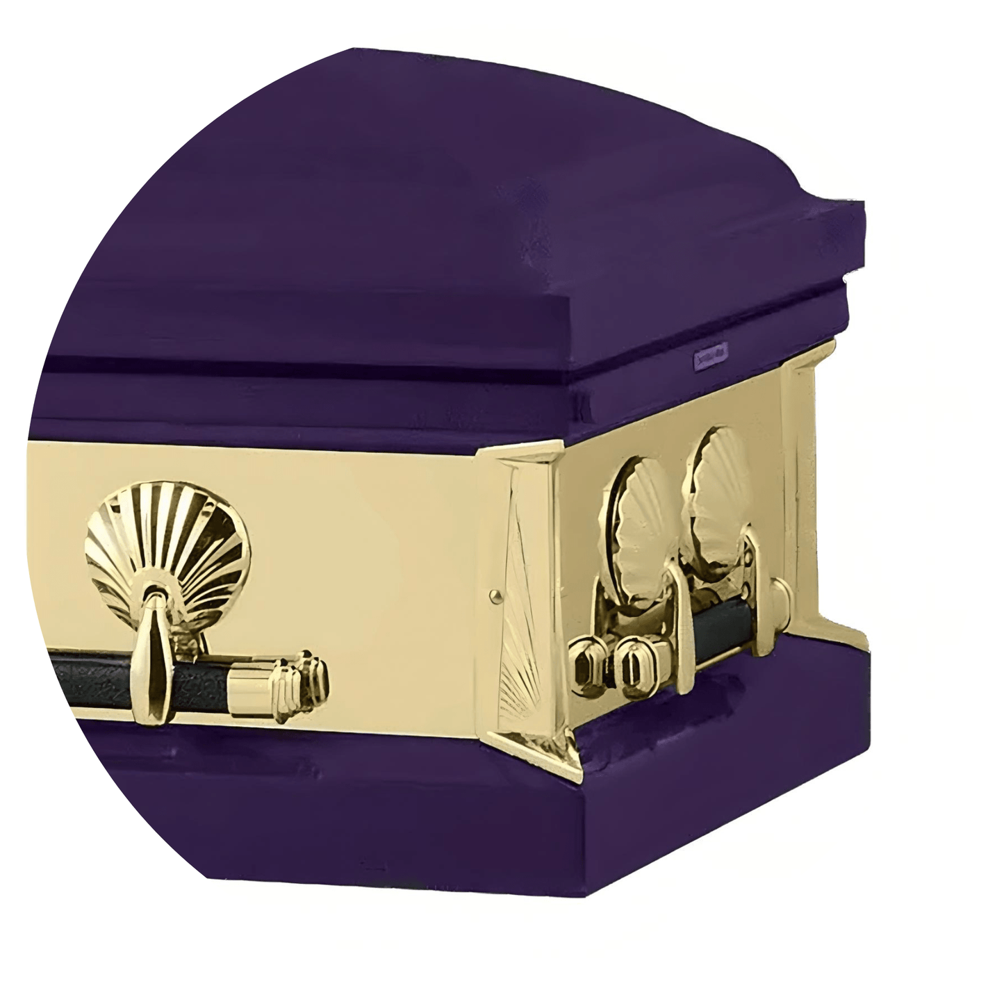 Bold Series-  Purple  - Interior white