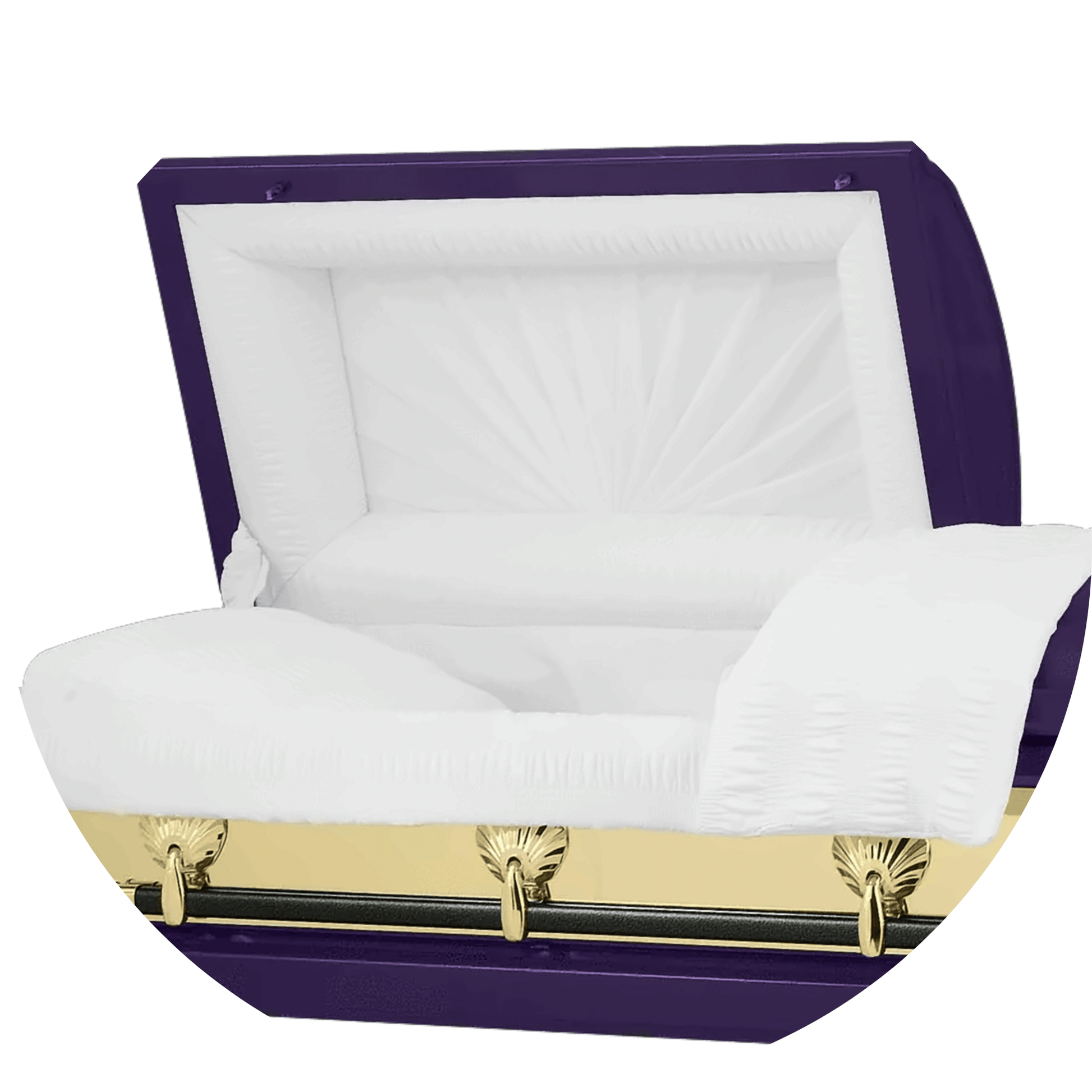 Bold Series-  Purple  - Interior white